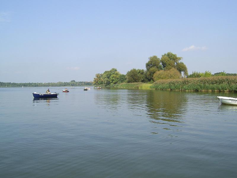 AV 05 41.jpg
